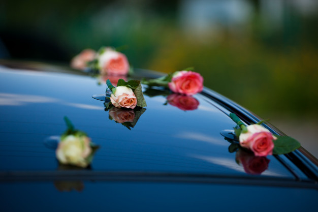 delicate-pink-rose-buds-put-car-s-hood_8353-1780
